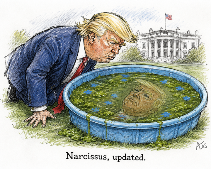 Reflection pool